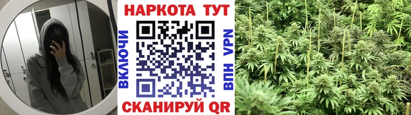 Купить закладку Луза Alpha PVP  Меф  COCAIN  Гашиш  Марихуана 