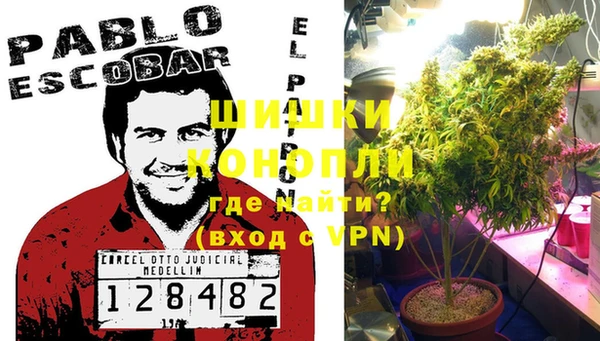 крисы Аркадак