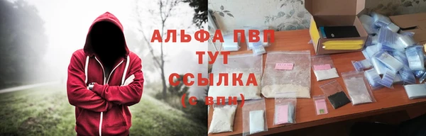 крисы Аркадак